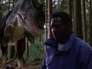 Sliders Photos 