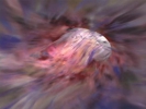 Sliders Photos 