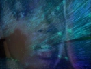 Sliders Photos 